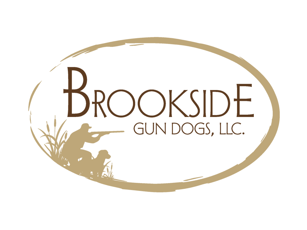 Brookside Gun Dogs, llc - About Us